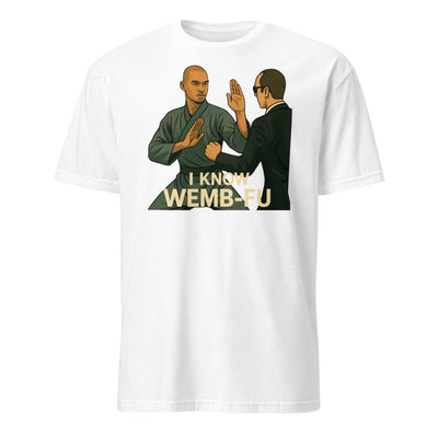 I Know WEMB-FU T-Shirt – Matrix Parody Basketball Tee | Wembanyama Fan Design | Funny NBA + Kung Fu Shirt Short-Sleeve Unisex T-Shirt