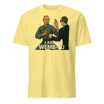 I Know WEMB-FU T-Shirt – Matrix Parody Basketball Tee | Wembanyama Fan Design | Funny NBA + Kung Fu Shirt Short-Sleeve Unisex T-Shirt